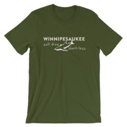 Alternative view of Salt-Free Shark-less Winnipesaukee